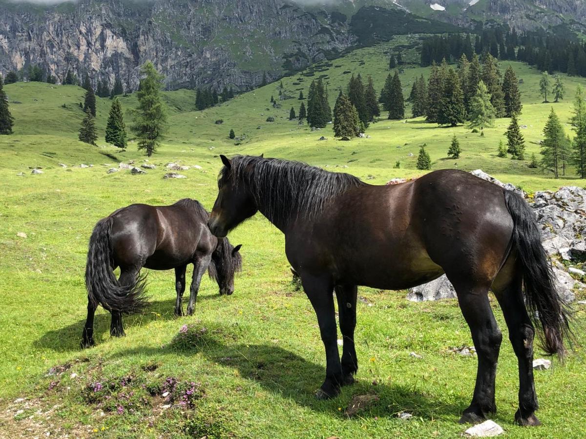 Ferienwohnung Alpendomizil II Mühlbach am Hochkönig Exterior foto